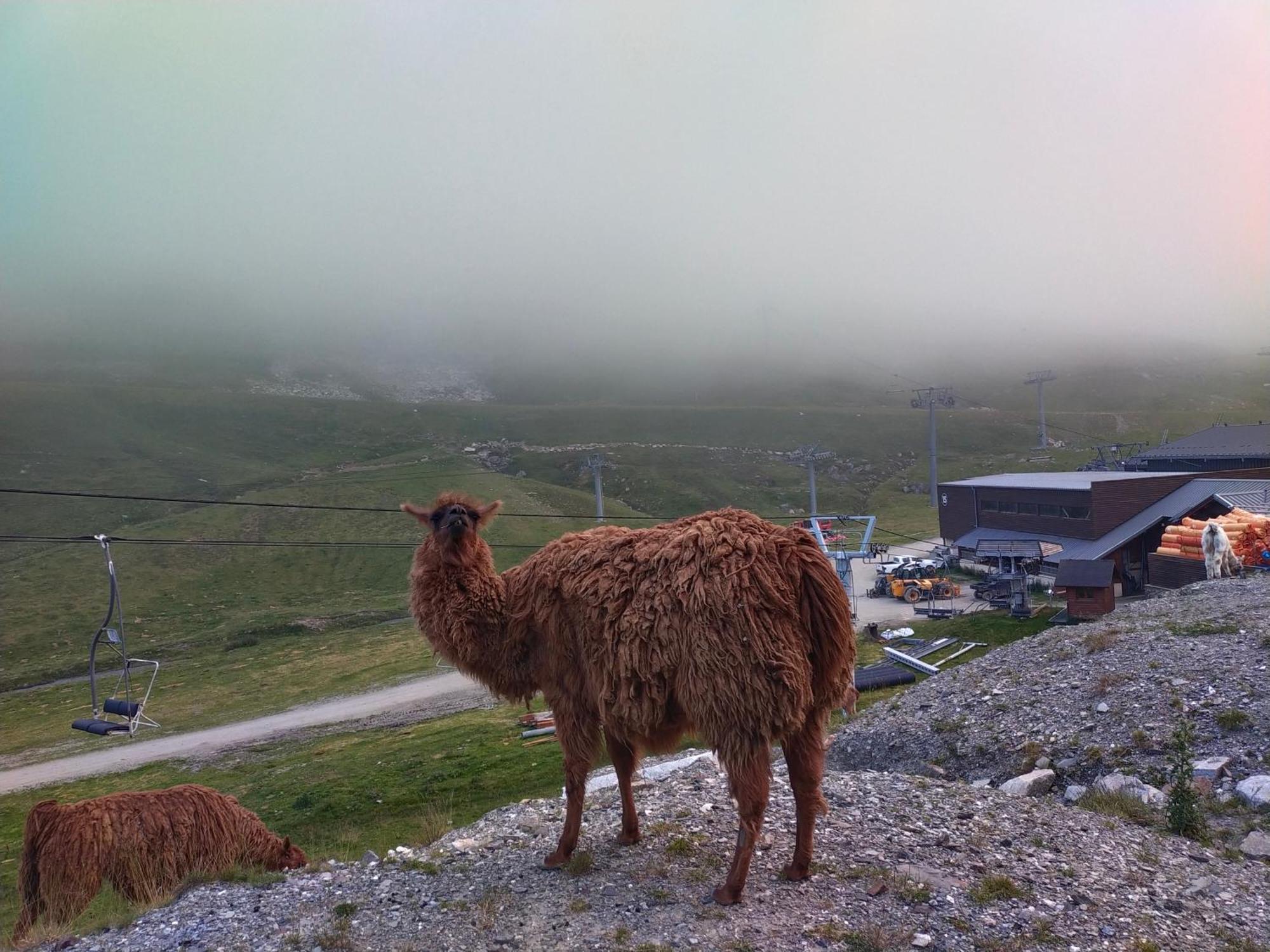 Le Petit Studio Du Tourmalet Pied Des Pistes - La Mongie Zewnętrze zdjęcie
