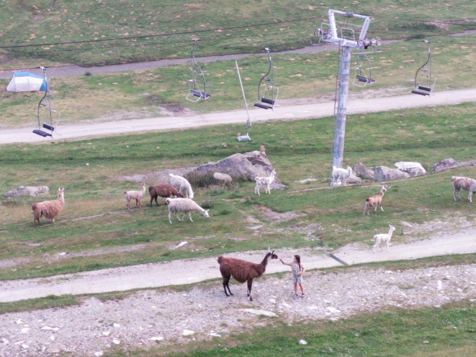 Le Petit Studio Du Tourmalet Pied Des Pistes - La Mongie Zewnętrze zdjęcie